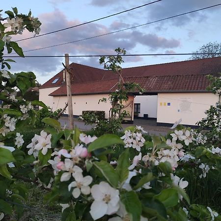 Bed and Breakfast Het Hemelsveld Hasselt Esterno foto