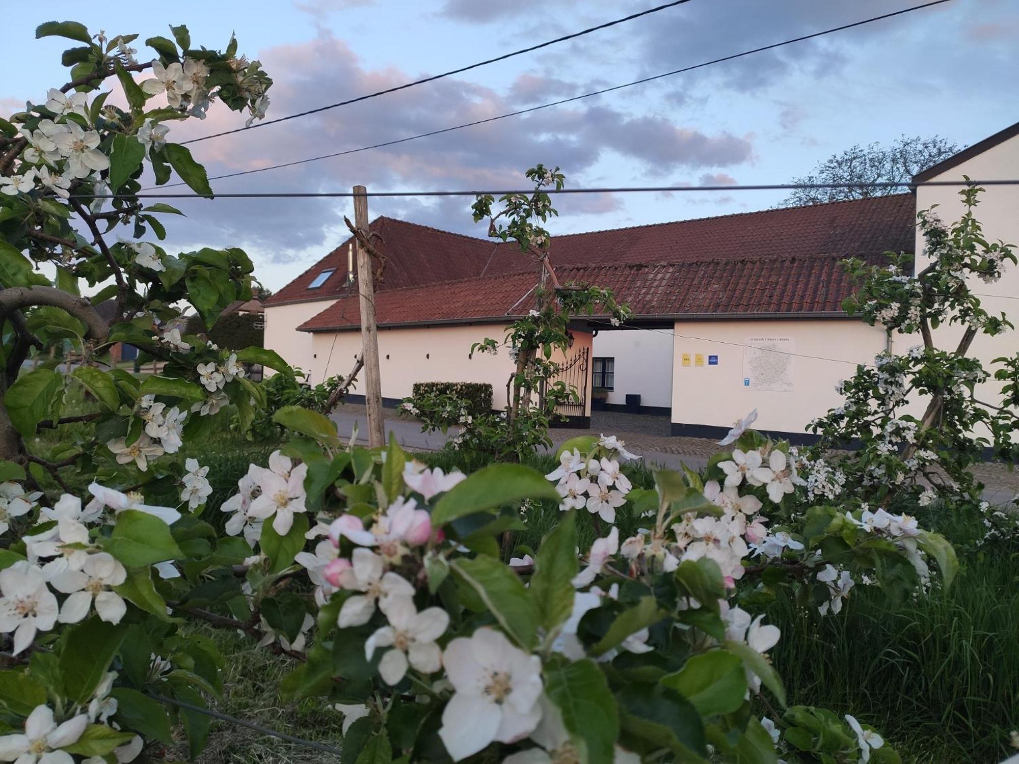 Bed and Breakfast Het Hemelsveld Hasselt Esterno foto